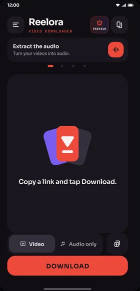 Reelora screen: Download videos and audio from supported platforms.
