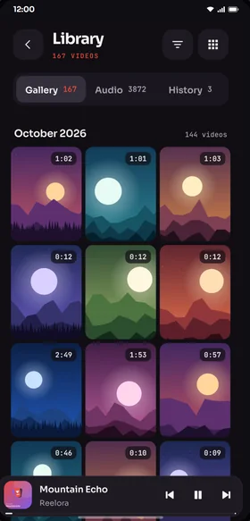 Reelora screen: Organize videos, photos, and audio in your media library.